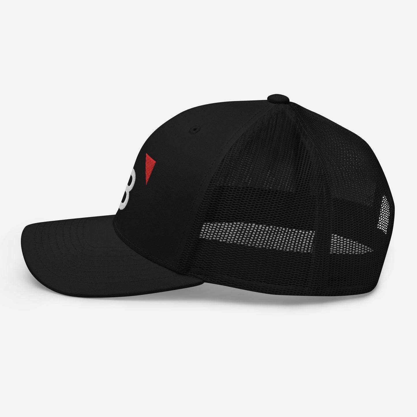 BM Snapback