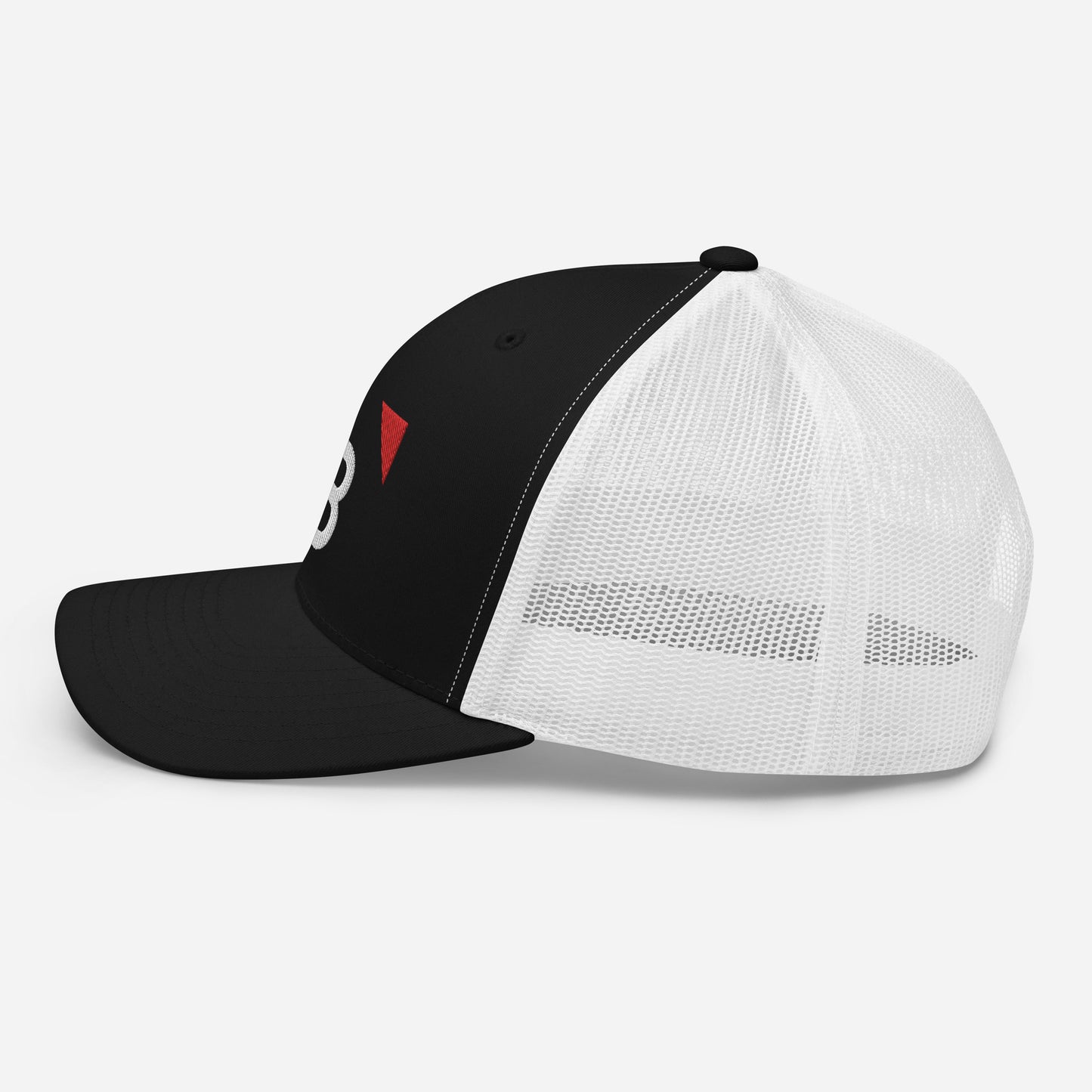 BM Snapback